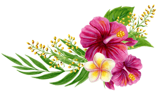 Your life in Bloom