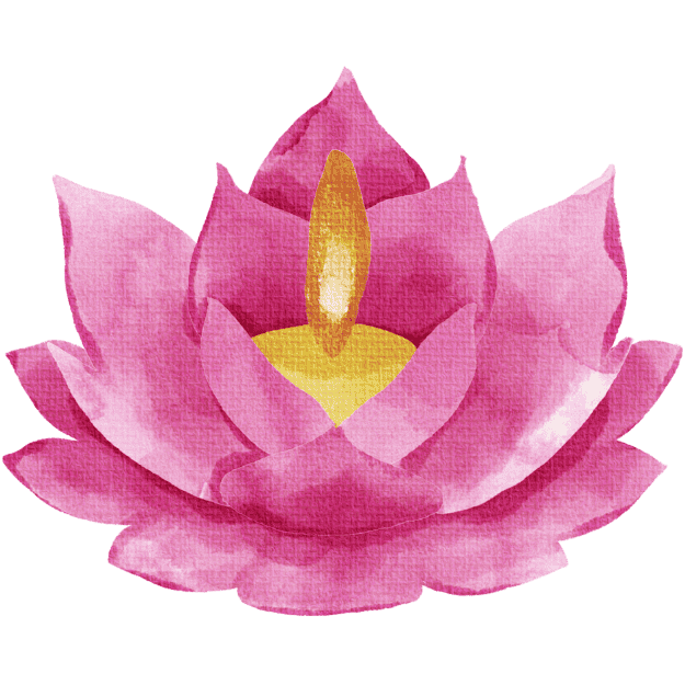 Find your Purpose, let your lotus grow